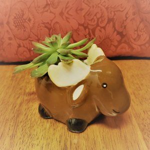 Ceramic Moose Planter with Echeveria Succulent
